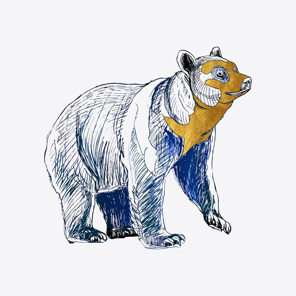 Art Prints Illustration Bear by Wolf Miu